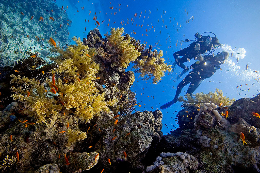 Picture of Shore Diving Package