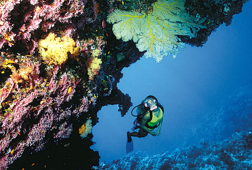 Picture of Boat Diving Package